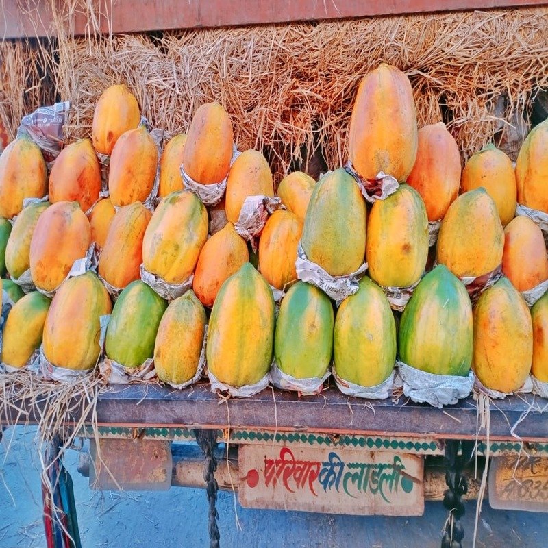 Papaya Images